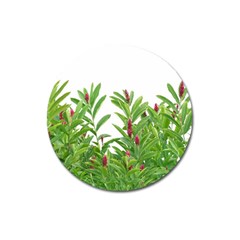 Tropical Floral Print Magnet 3  (round) by dflcprints