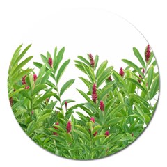 Tropical Floral Print Magnet 5  (round)