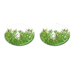 Tropical Floral Print Cufflinks (oval)