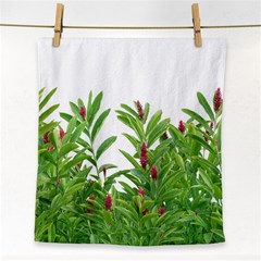 Tropical Floral Print Face Towel