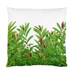 Tropical Floral Print Standard Cushion Case (two Sides)