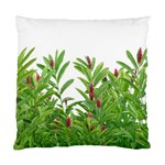 Tropical Floral Print Standard Cushion Case (Two Sides) Back