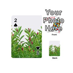 Tropical Floral Print Playing Cards 54 (mini) 