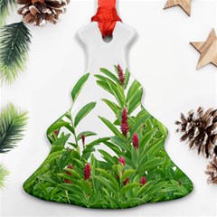 Tropical Floral Print Ornament (christmas Tree) 