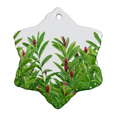 Tropical Floral Print Snowflake Ornament (two Sides) by dflcprints