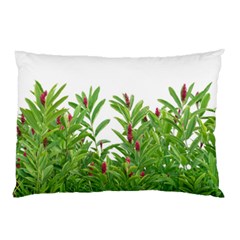 Tropical Floral Print Pillow Case (two Sides) by dflcprints