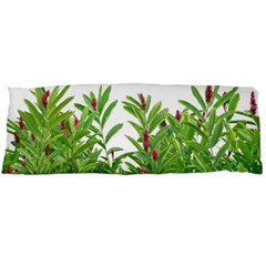 Tropical Floral Print Body Pillow Case (dakimakura)