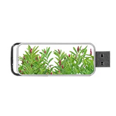 Tropical Floral Print Portable Usb Flash (one Side) by dflcprints