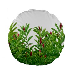 Tropical Floral Print Standard 15  Premium Flano Round Cushions