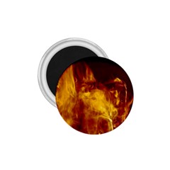 Ablaze Abstract Afire Aflame Blaze 1 75  Magnets by Amaryn4rt