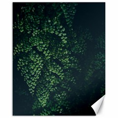 Abstract Art Background Biology Canvas 16  X 20  