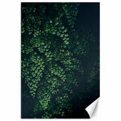 Abstract Art Background Biology Canvas 20  X 30  