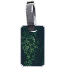 Abstract Art Background Biology Luggage Tags (two Sides)