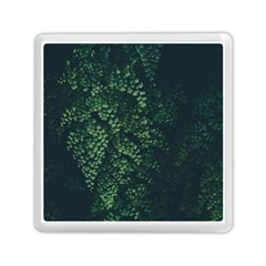 Abstract Art Background Biology Memory Card Reader (square) 