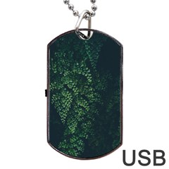 Abstract Art Background Biology Dog Tag Usb Flash (two Sides)