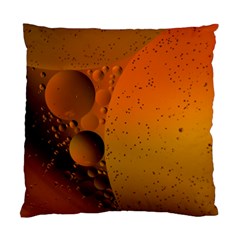 Abstraction Color Closeup The Rays Standard Cushion Case (two Sides) by Amaryn4rt