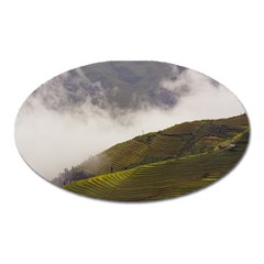 Agriculture Clouds Cropland Oval Magnet