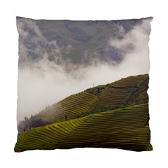 Agriculture Clouds Cropland Standard Cushion Case (two Sides)