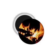 Bonfire Wood Night Hot Flame Heat 1 75  Magnets