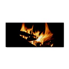 Bonfire Wood Night Hot Flame Heat Cosmetic Storage Cases