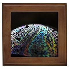 Bubble Iridescent Soap Bubble Framed Tiles