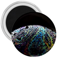 Bubble Iridescent Soap Bubble 3  Magnets