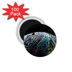 Bubble Iridescent Soap Bubble 1 75  Magnets (100 Pack)  by Amaryn4rt