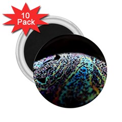 Bubble Iridescent Soap Bubble 2 25  Magnets (10 Pack) 