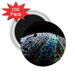 Bubble Iridescent Soap Bubble 2 25  Magnets (100 Pack) 