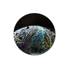 Bubble Iridescent Soap Bubble Magnet 3  (round)