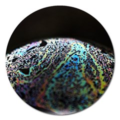 Bubble Iridescent Soap Bubble Magnet 5  (round) by Amaryn4rt