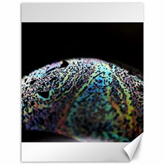 Bubble Iridescent Soap Bubble Canvas 12  X 16  