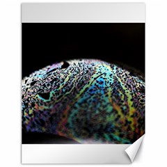 Bubble Iridescent Soap Bubble Canvas 18  X 24  