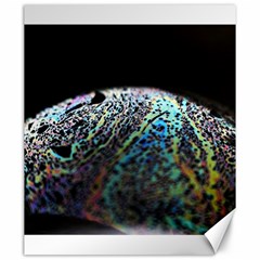 Bubble Iridescent Soap Bubble Canvas 20  X 24  