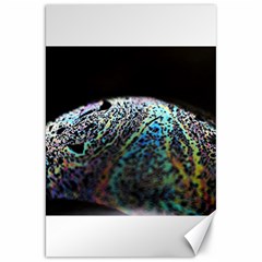 Bubble Iridescent Soap Bubble Canvas 20  X 30  