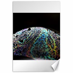 Bubble Iridescent Soap Bubble Canvas 24  X 36 