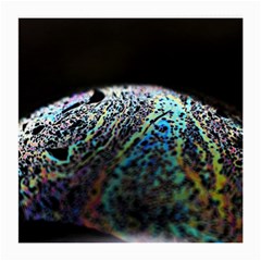 Bubble Iridescent Soap Bubble Medium Glasses Cloth