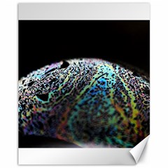 Bubble Iridescent Soap Bubble Canvas 11  X 14  