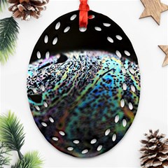 Bubble Iridescent Soap Bubble Ornament (oval Filigree)