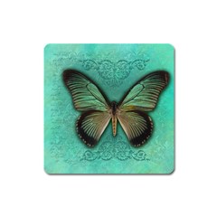 Butterfly Background Vintage Old Grunge Square Magnet by Amaryn4rt