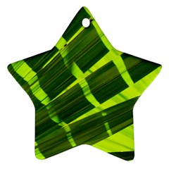 Frond Leaves Tropical Nature Plant Ornament (star) by Amaryn4rt