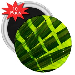 Frond Leaves Tropical Nature Plant 3  Magnets (10 Pack)  by Amaryn4rt