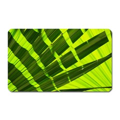 Frond Leaves Tropical Nature Plant Magnet (rectangular) by Amaryn4rt