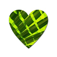 Frond Leaves Tropical Nature Plant Heart Magnet by Amaryn4rt