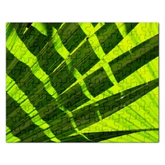 Frond Leaves Tropical Nature Plant Rectangular Jigsaw Puzzl by Amaryn4rt