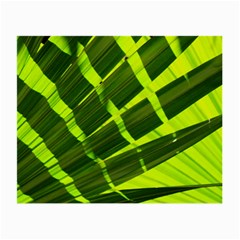 Frond Leaves Tropical Nature Plant Small Glasses Cloth (2-side)