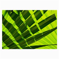 Frond Leaves Tropical Nature Plant Large Glasses Cloth by Amaryn4rt