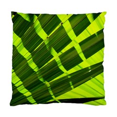 Frond Leaves Tropical Nature Plant Standard Cushion Case (one Side) by Amaryn4rt