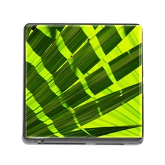 Frond Leaves Tropical Nature Plant Memory Card Reader (square) by Amaryn4rt