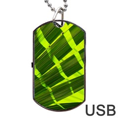 Frond Leaves Tropical Nature Plant Dog Tag Usb Flash (two Sides) by Amaryn4rt